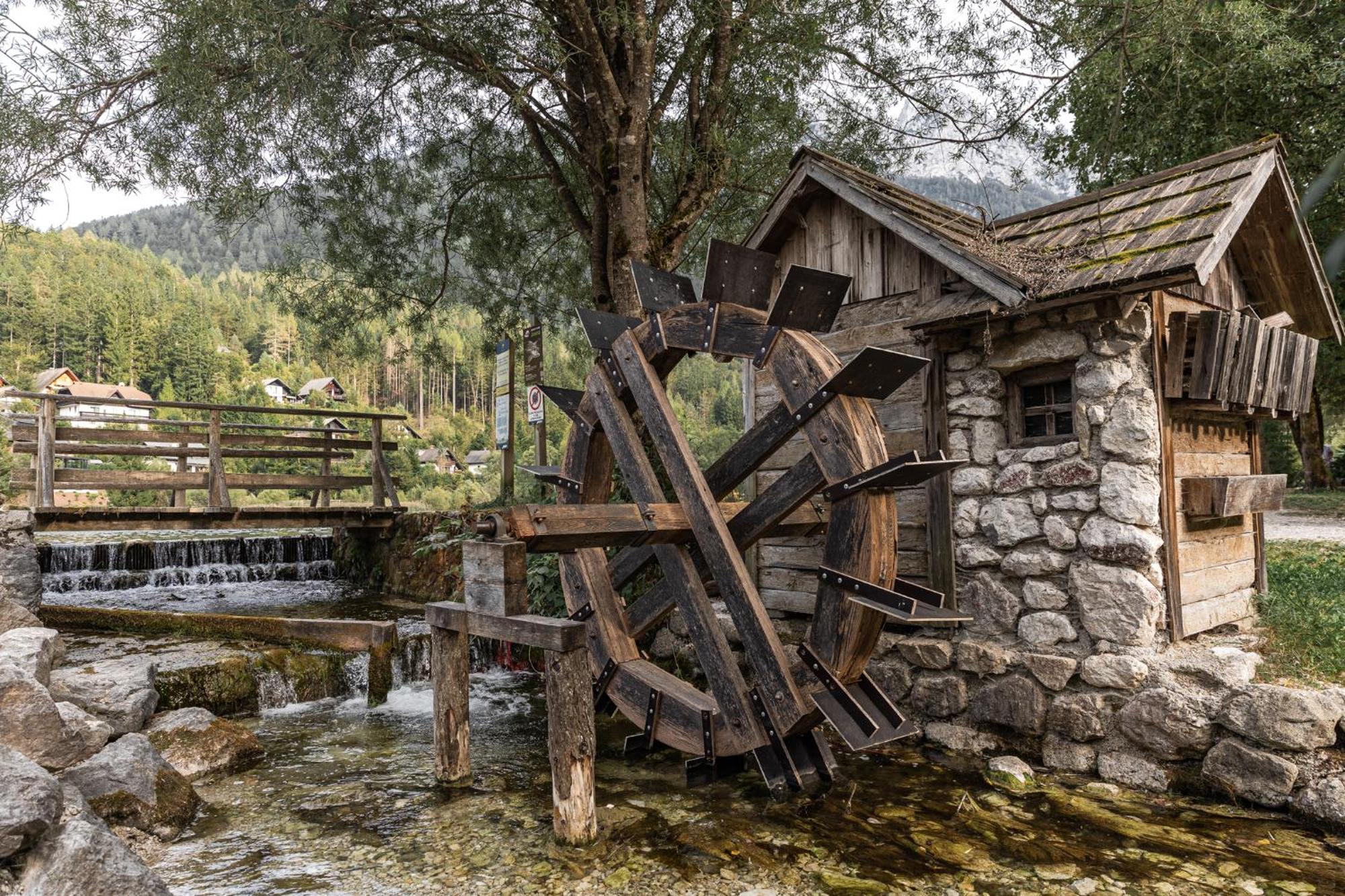 Eros Apartment Kranjska Gora Εξωτερικό φωτογραφία